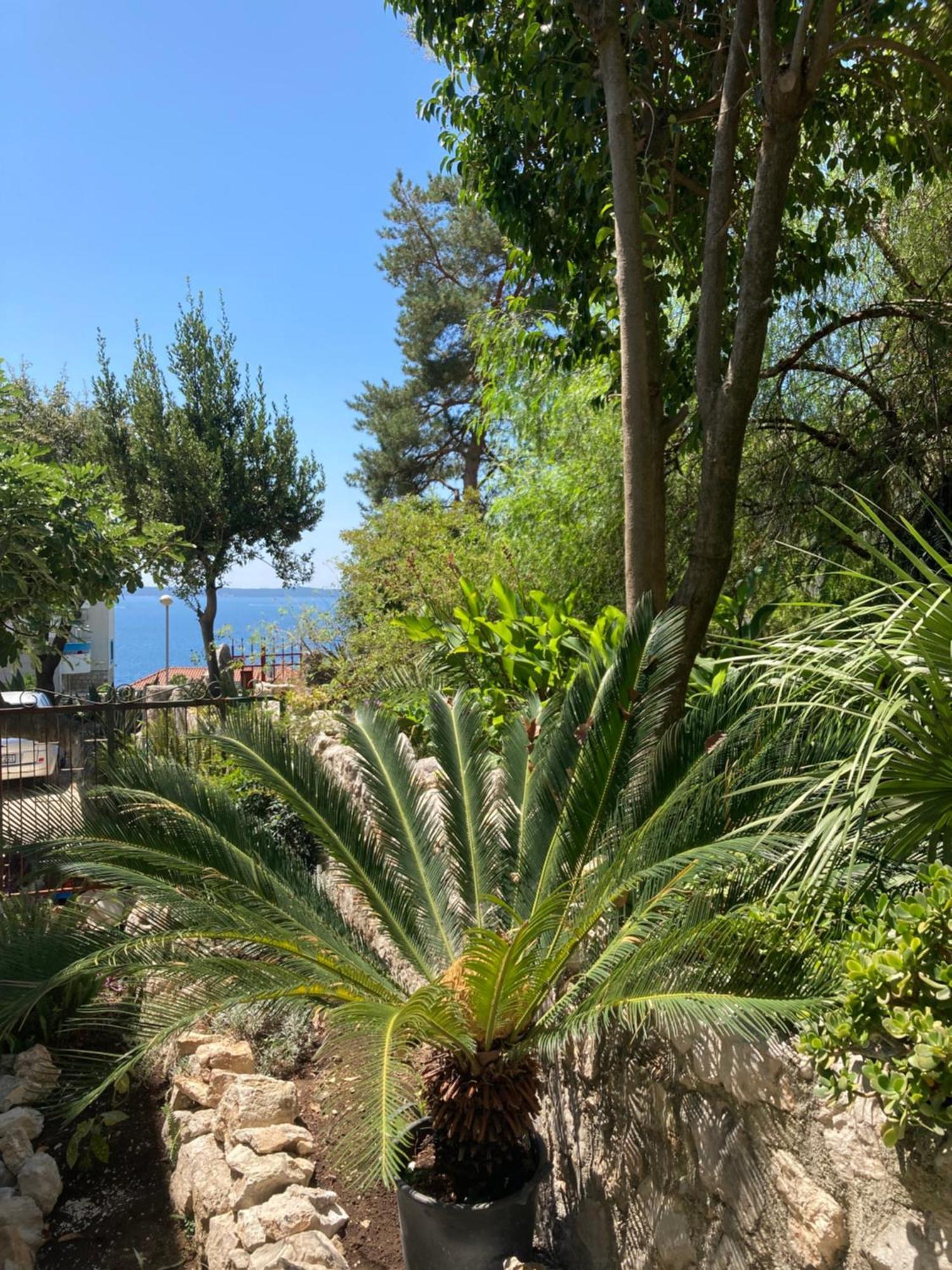 Apartments Milicevic Herceg Novi Eksteriør bilde