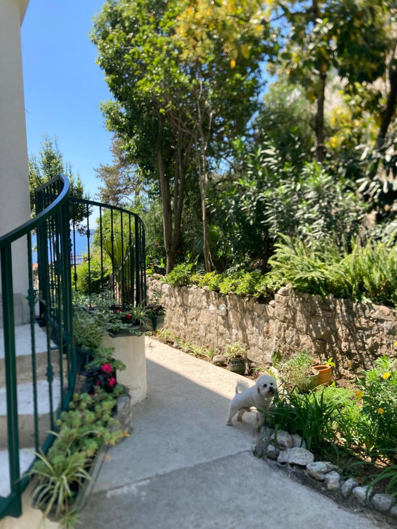 Apartments Milicevic Herceg Novi Eksteriør bilde
