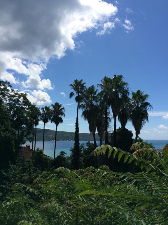Apartments Milicevic Herceg Novi Eksteriør bilde